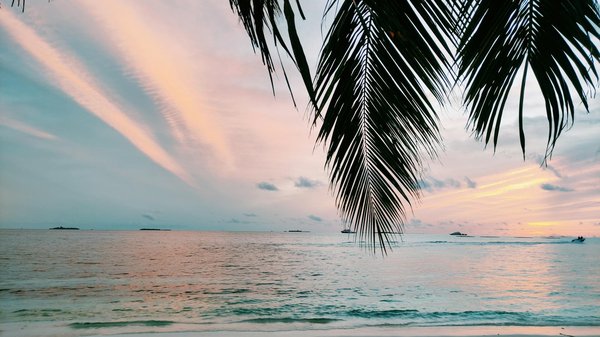 Forfaits vacances aux bahamas : découvrez nos offres tout compris