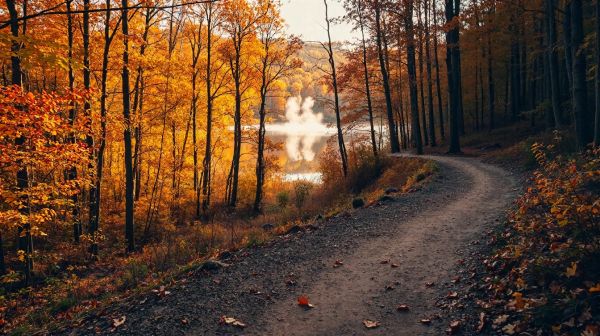 Les meilleures destinations secrètes à explorer aux usa